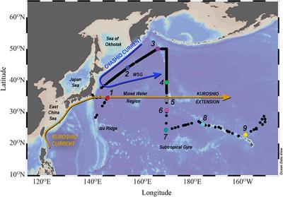 Shelf Inputs and Lateral Transport of Mn, Co, and Ce in the Western North Pacific Ocean